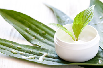 Naturkosmetik