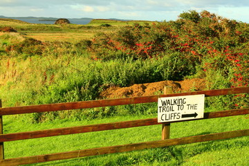 Trail to the Cliffs