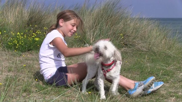 taquiner son chien