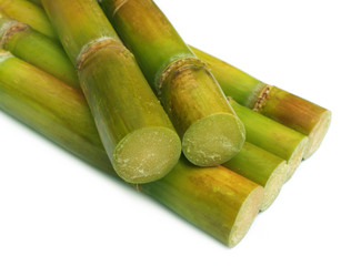 Sugar cane close up