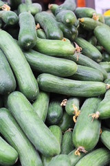 Cucumbers on display at the market
