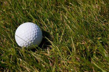 Golf Ball in Rough