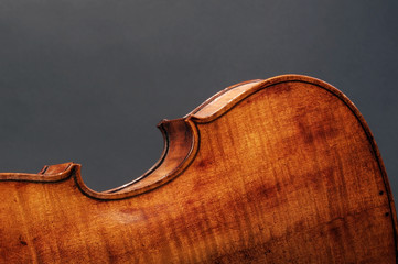 Back side of violin with lots of room for your type. © W.Scott McGill