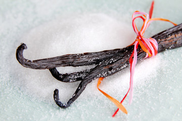 Vanille auf Zucker - Vanilla Beans on Sugar