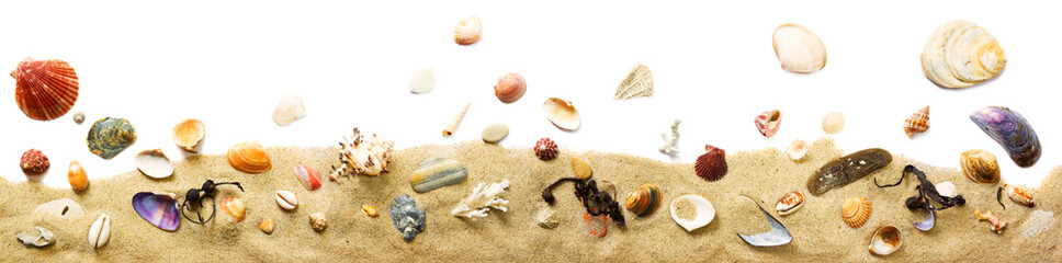 Sand und Muscheln Dekoration