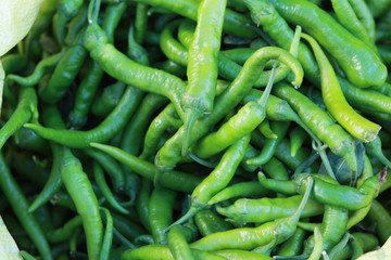 Green pepper