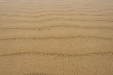 Kunst des Meeres