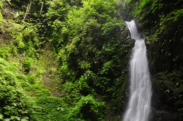 Obraz premium 塩川滝飛沫