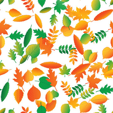 Vector seamless pattern from leaves of trees