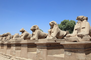Temples of Karnak sphinxes in Luxor, Egypt