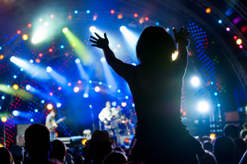 Crowd of fans at a concert