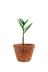 abstract tree isolated white background