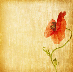 Fototapeta premium paper textures.