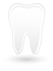 Tooth. Vector.