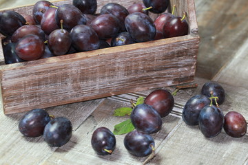 Obst