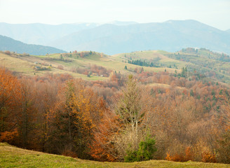 autumn in Carpathian Mountains