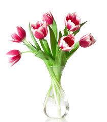 pink and white tulips in the transparent vase isolated on white.