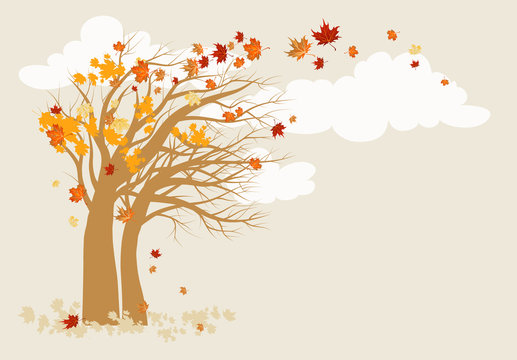 Autumn tree background