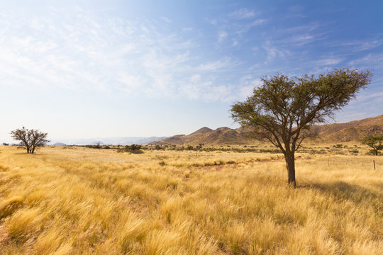 Fototapeta Naukluft Gebirge in Namibia, Afrika