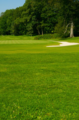 Obraz premium Golf Course in Forest