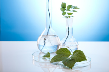 Plants  and laboratory