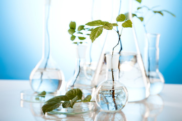 Floral science in  laboratory
