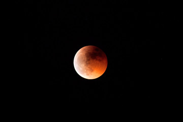 Beautiful red moon