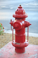 Fototapeta na wymiar Czerwony hydrant ?