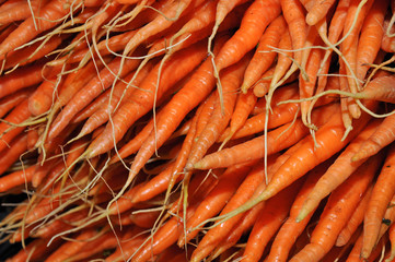 Fresh carrots at market