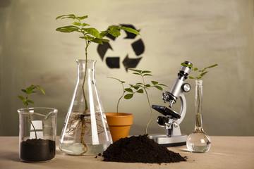 Chemical laboratory glassware equipment, ecology