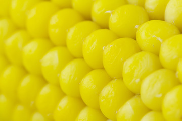 boiled corn. background