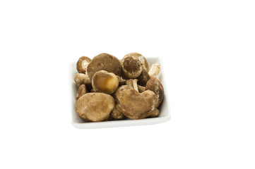 Shitake Mushrooms in a white dish isolated