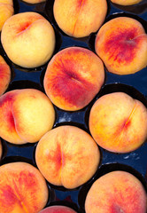 Peaches on display at the farmer's market
