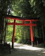 torii et forêt de bambous