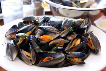 miesmuscheln