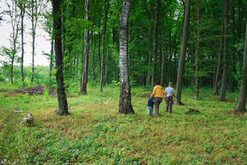 Mother and two sons in the green woods for a walk