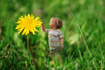Fototapeta premium Cute tiny boy playing in the grass