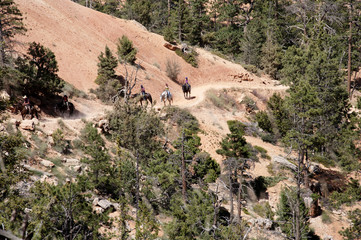 Cowboy in Bryce Canyon National Park, Utah, USA
