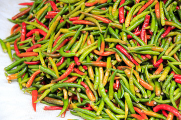 fresh chilli peppers bangkok market