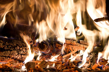 Fuoco, brace e legna nel forno