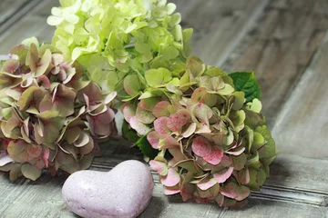 Crédence de cuisine en verre imprimé Hortensia Hortensia