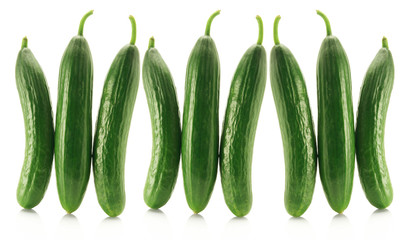 Cucumber