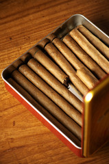 Cigars in box