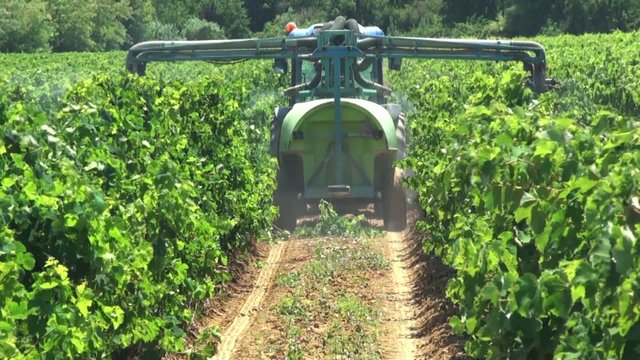 viticulture 1.3