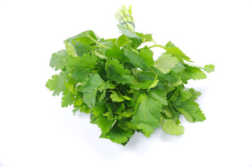 parsley