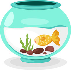 fish bowl