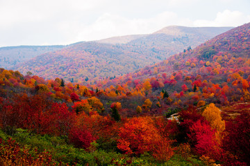 acres of color