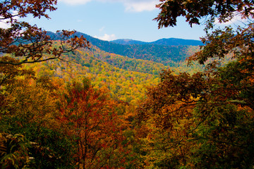 autumn in the blue ridge mountains