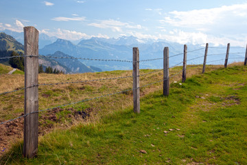 Barbwire fence in the Swiss countryside