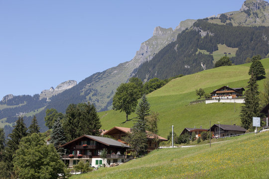 Swiss Chalet In The Alps